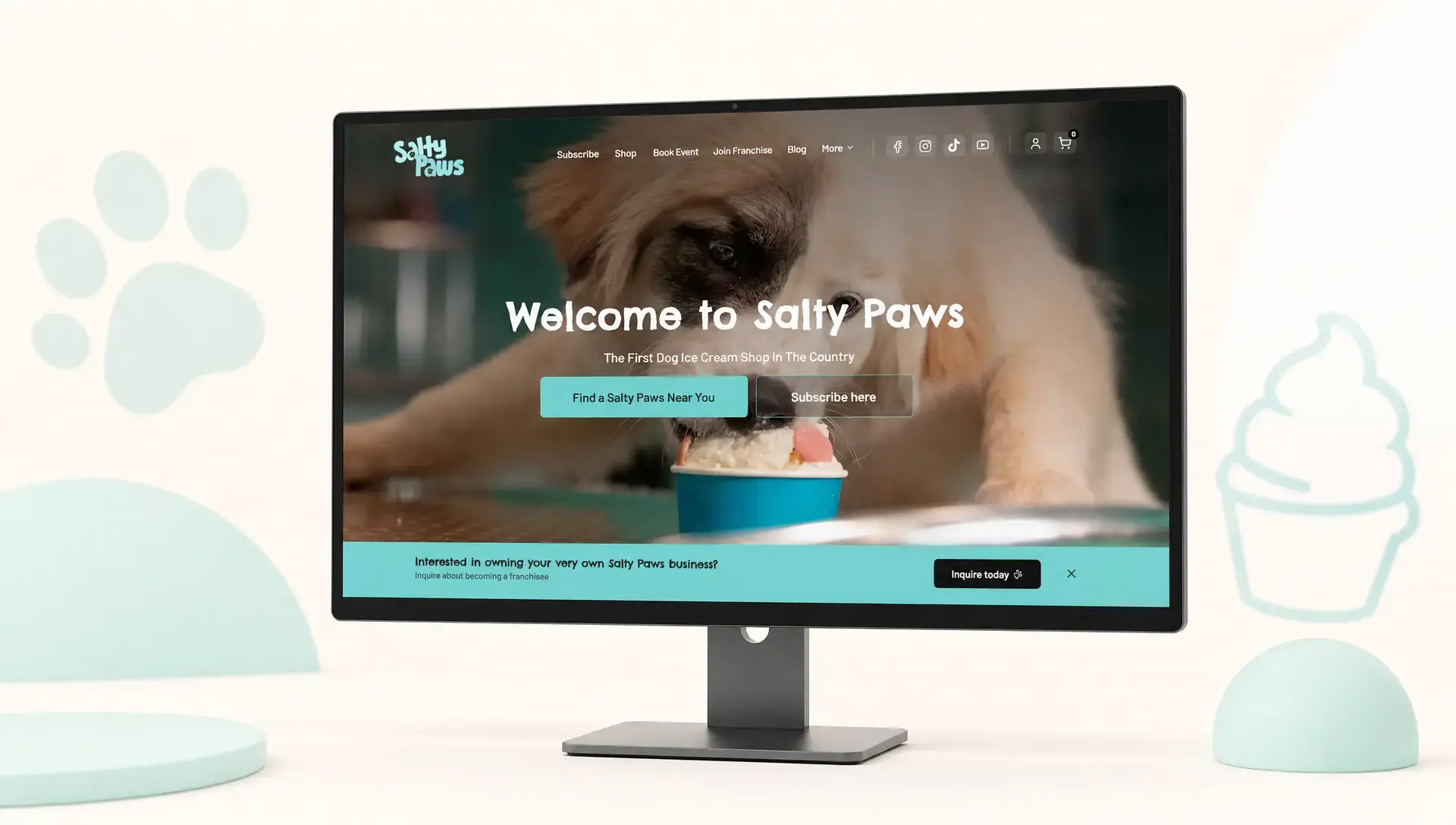 salty-paws-featured